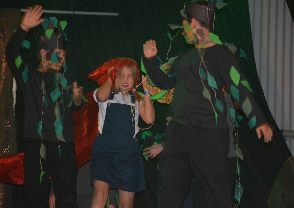 DRAMATIC SCENE: The Mount Isa School of the Air perform classic tales such as Little Red Riding Hood. The school wins best backdrops and props in the upper primary school division. Photo: Chris Burns. 