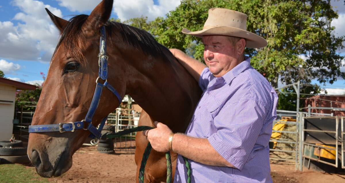 PREPARATION: Mount Isa horse trainer-owner Philip Miller checks his horses in time for the Cloncurry Winter Races. Photo: Chris Burns. 