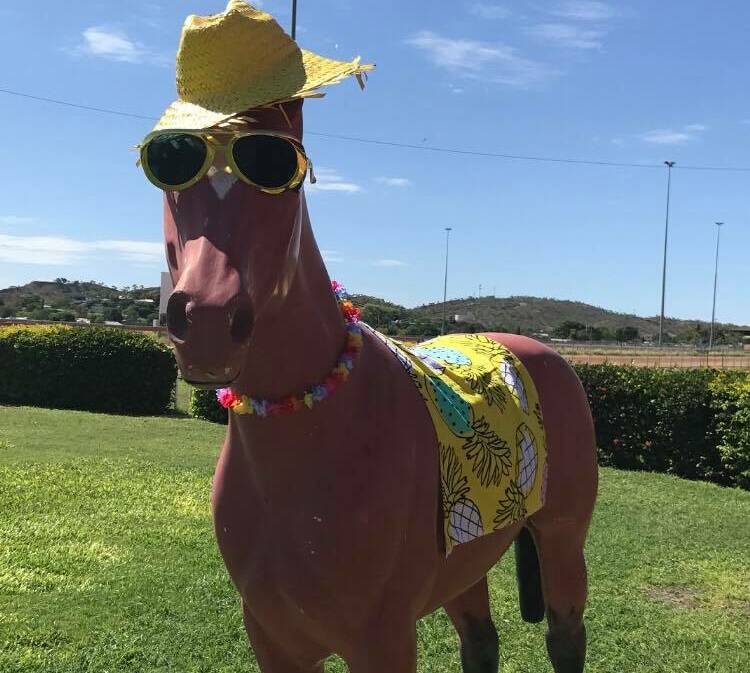 'Horace' the fake racehorse is ready for the beach party races at Buchanan Park on Saturday. Photo: Contributed.