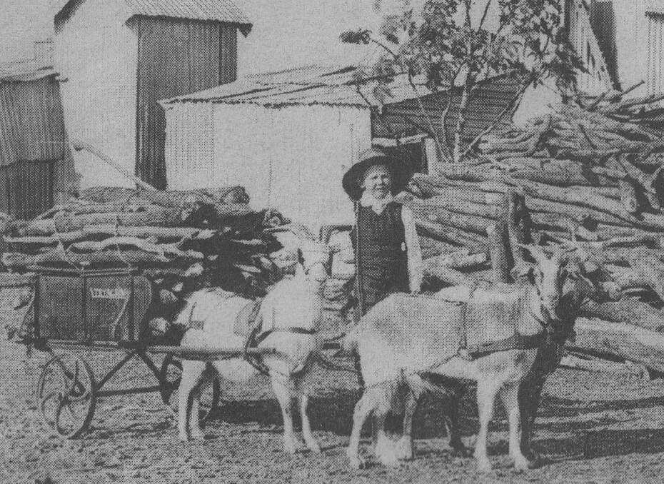 TEAM: A proud young lad with his small goat team and wagon of wood. Circa early 20th century. Photo: Supplied. 