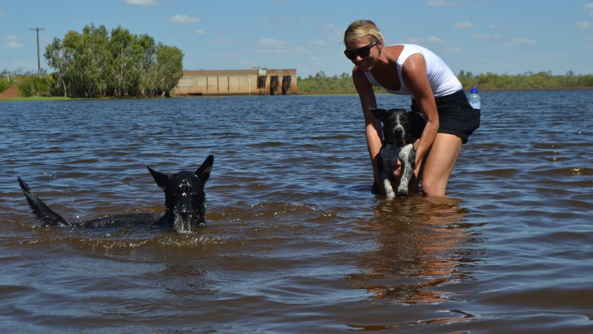 Local Alison Shaw cools off with her dogs in Chinaman Creek Dam on a hot summer day. Photo: Chris Burns. 