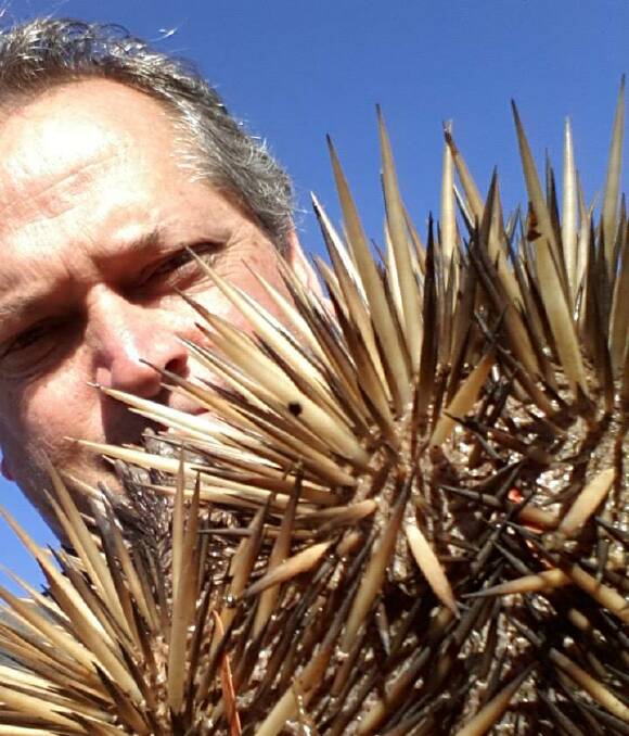 SHARP OBJECTS: Peter Fitchat rescues an echidna from the Chinaman Creek Dam on Sunday. Mr Fitchat holds it "very carefully". Photo: Kaileana Lund. 