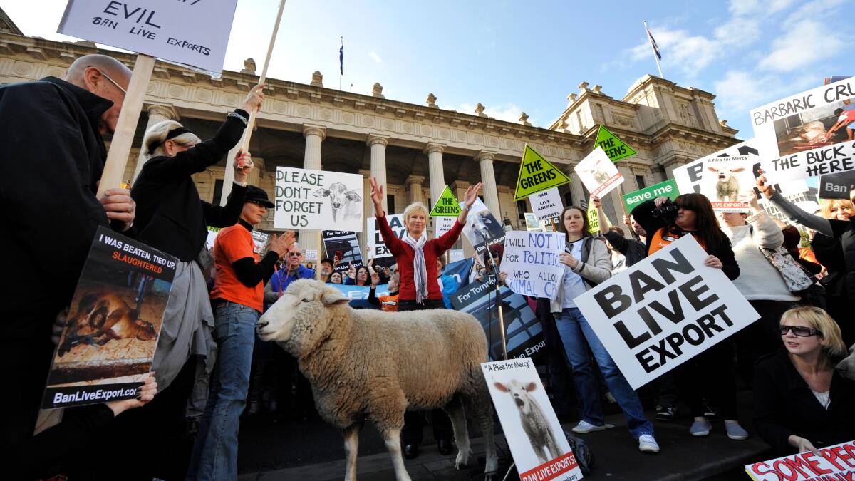 A rally at Parliament House. Centre is Animals Australia cruelty investigator Lyn White whose footage of Australian cattle being slaughtered in Indonesian abattoirs was featured on the Four Corners.