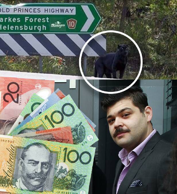 The panther photo at the top is a fake but Wollongong City Councillor Bede Crasnich is putting up a reward for the real thing.