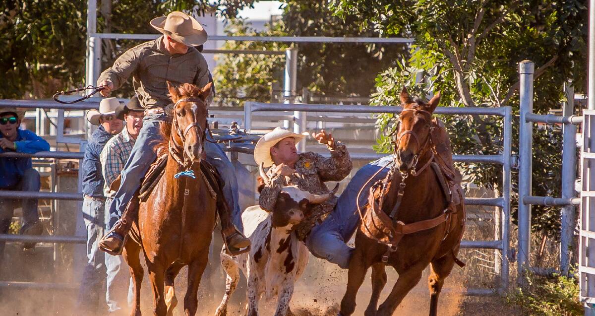 Top form: David Mawhinney, Gympie, taking out the Open Bull Ride, Steer Wrestling and All Round Champion Cowboy buckles. 