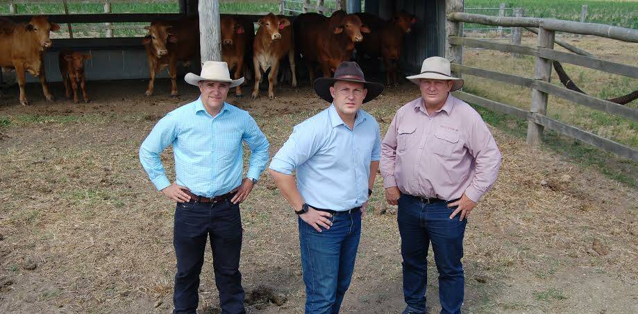 We mean business: KAP representatives Rob Katter and Shane Knuth with Treasurer Curtis Pitt at the  announcement of the rural debt taskforce.
