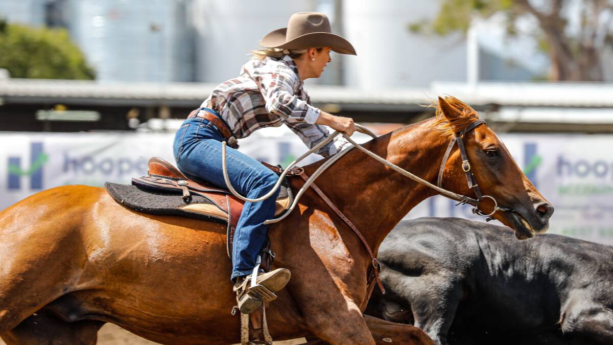The Pittworth and District Campdraft Association, at which Penny MacIntosh and Hazelwood Co-Pilot are pictured competing in, has used Campdraft Central for some years. Picture: Created by Kiwi