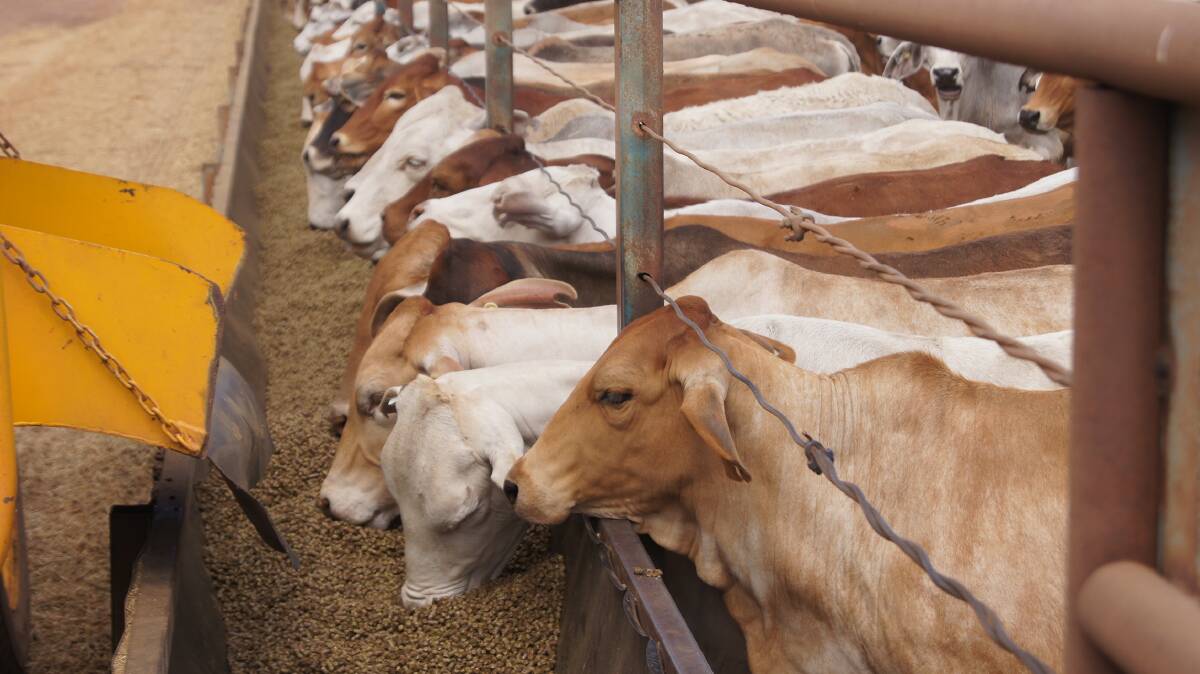 Third quarter cattle import quotas plunged to 50,000 head last year from Australia to Indonesia - down from 250,000 in the second quarter of 2015 - but a fourth monthly system was adopted for this year to try and increase market stability.