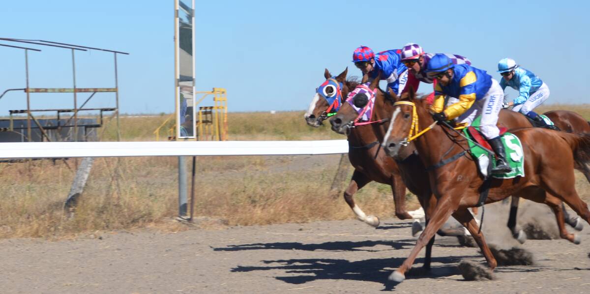HOT TO TROT: In Race 3 Lunar Luck took out the Nowland Engineering / Columba Catholic College BenchMark 45 Handicap over 1150m by 0.4 lengths. Photo: Esther MacIntyre