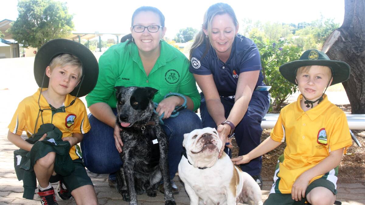 VETS & PETS: Boh (7), Katelyn Stretton (vet), Charmaine Hartwig (Mount Isa City Council), Elias (6), Cinch and Fergie. Photo: Esther MacIntyre