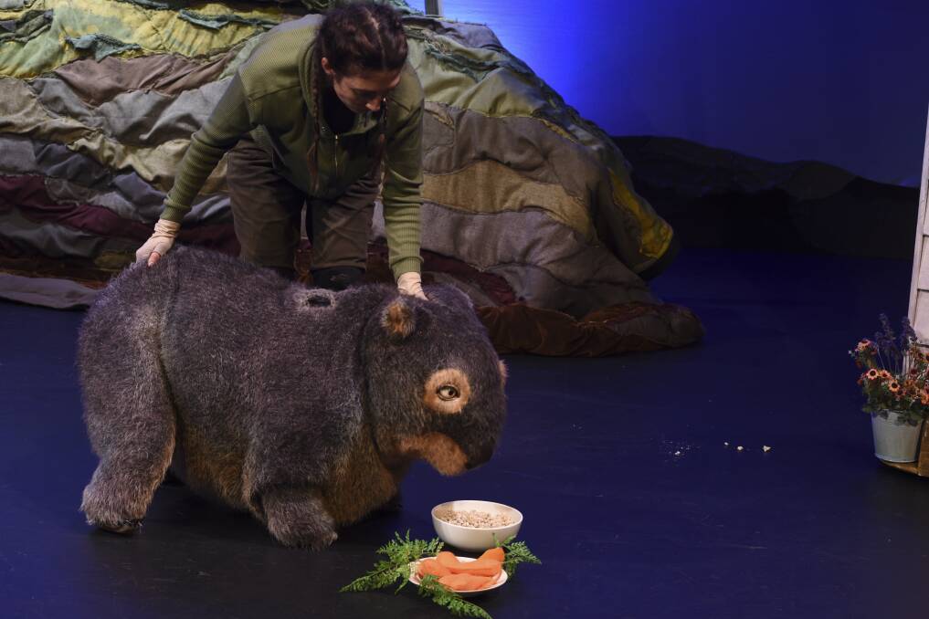 WOMBAT IN ISA: Monkey Baa Productions brings Diary of a Wombat to Mount Isa Civic Centre for two family friendly shows on October 10. Photo: supplied 