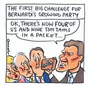 Bernardi lures another MP to his Australian Conservatives