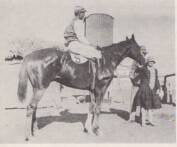 A.B.C. 50 Gold Cup over 1.5 miles: Won by R Schmidt’s One King. 