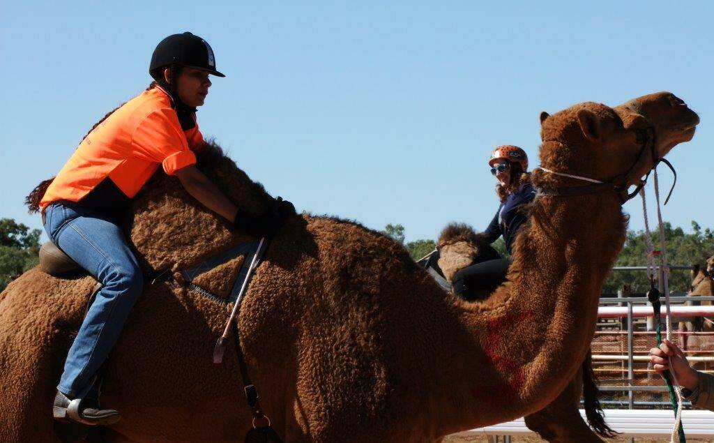 GET READY TO RACE: Boulia camel trainer and jockey, Dannileah Stewart, is preparing for the annual Boulia Camel Races that will be held in July. Photo supplied.