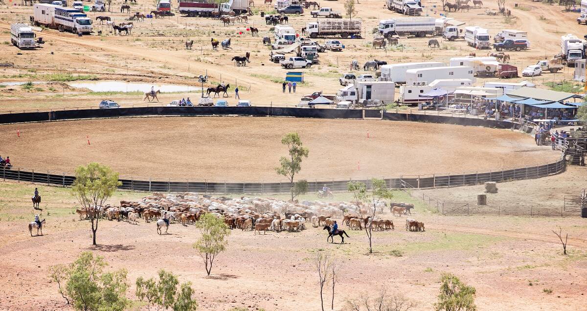 NON-STOP ACTION: An aerial view of Yelvertoft Campdraft and Rodeo last year. Photo supplied.