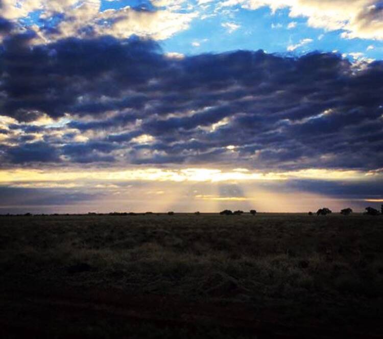 WOW: Beautiful sunrise near McKinlay. Instagram photo by @ruralreporter