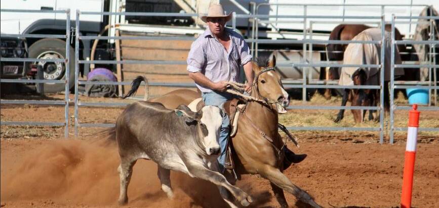 Marcus Curr on Jitterbug had a great run at Dajarra Campdraft and Rodeo last year, with a score of 90 in the Open Draft. 