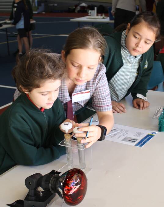 HANDS ON: Students from local catholic schools team together in the CSIRO challenges. Photo: Samantha Walton.