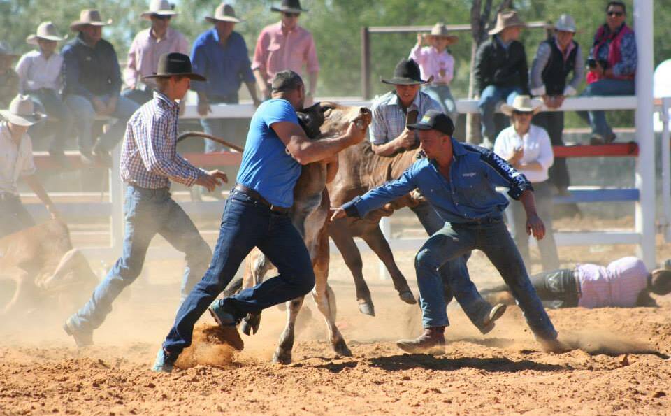 ICONIC BUSH EVENT: Thursday will see Saxby Round-Up start its four days of action-packed events with more than 1000 first round campdraft competitors nominated.