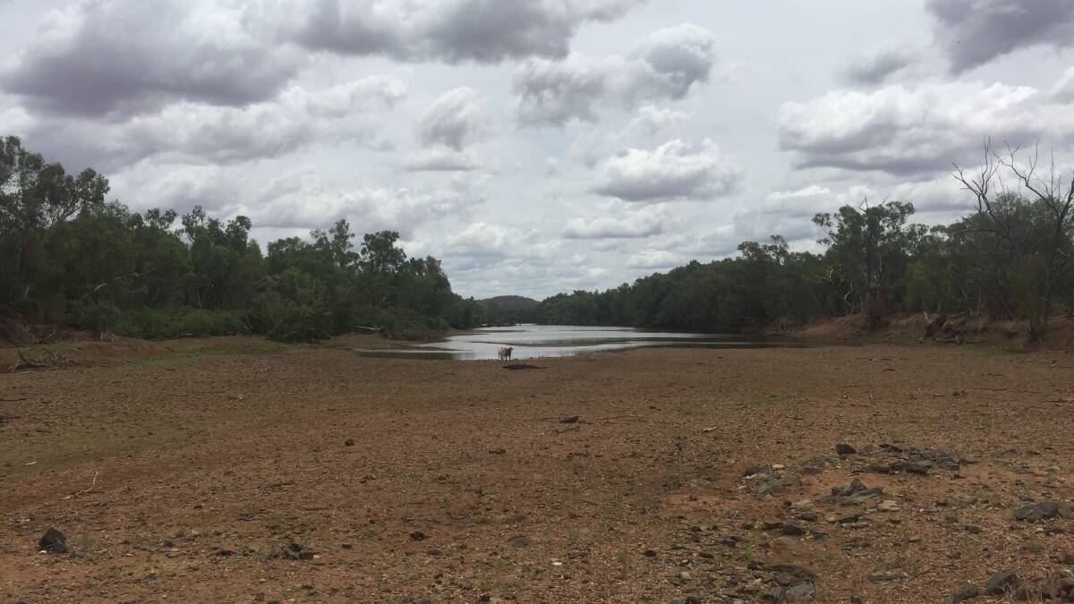 BIG DRY: There was a distressingly small amount of water in the Leichhardt River near Kajabbi on the weekend. Photo: Derek Barry