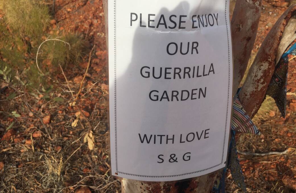 The sign on the tree next to the "guerrilla garden".