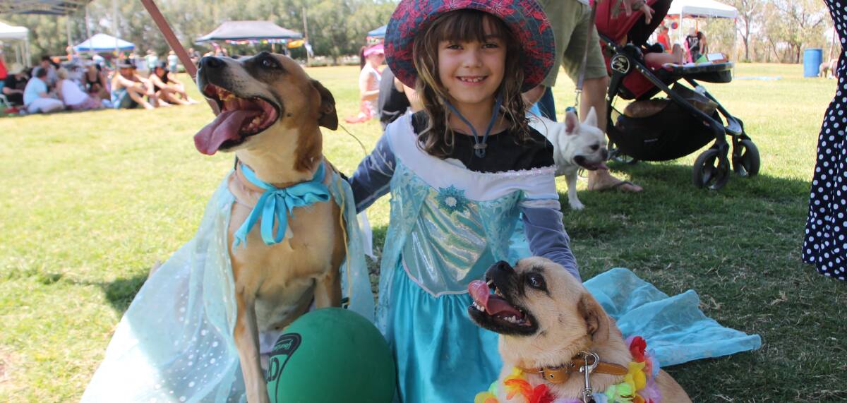 DOGGONE: The PHC canine carnival is on again next weekend.