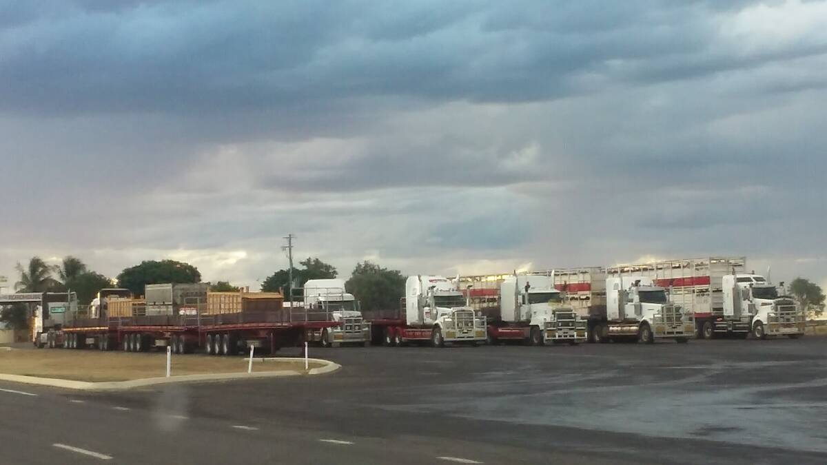 A row of trucks parked at Lights on the Hill, Hughenden. 