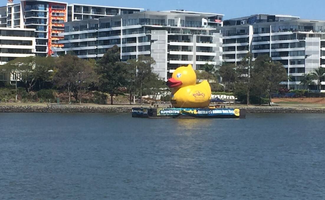 DUCK AND COVER: Spotted on the Brisbane River on a weekend visit, a giant rubber duck guaranteed to give bathtime nightmares. Photo: Derek Barry