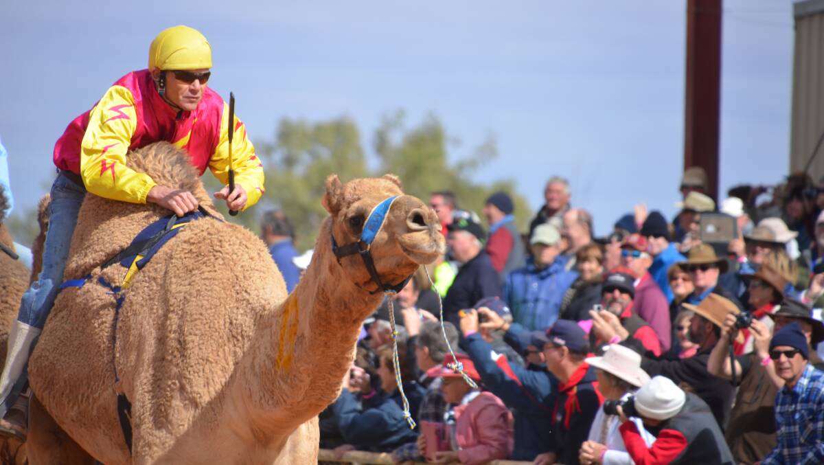 HUMP DAY AFTERNOON: All roads lead to Boulia for the Melbourne Cup of Camel Racing on the weekend of July 14-16. Photo: Derek Barry