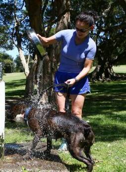 HOT DOGS: Canines, like humans, need plenty of water in the heat.