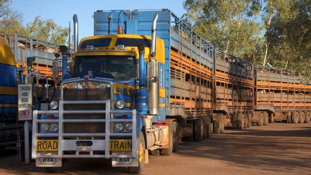 John Wharton said the upgrade of cattle transport routes is crucial for North West Queensland.