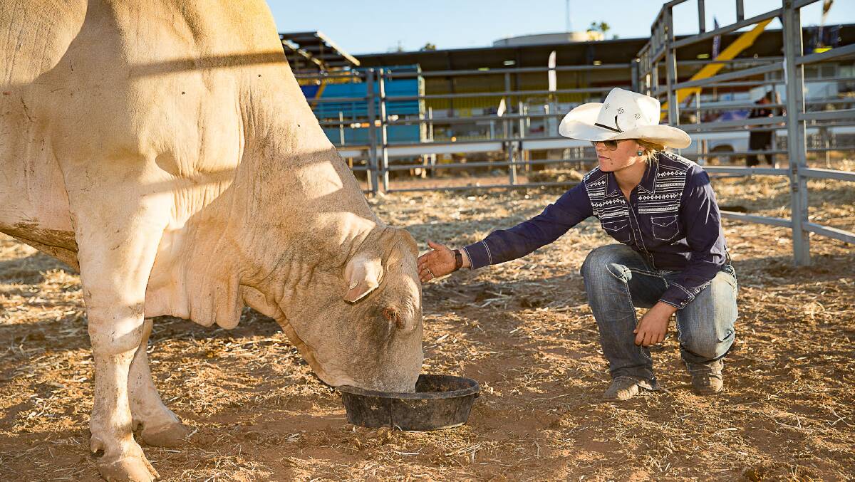 TOP CONTRACTOR: Dakota Brandenburg at Mount Isa Rodeo with one of her bulls. Photo: supplied