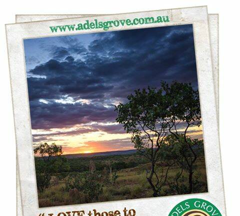 Submit your best photo of Adels Grove using the hashtag #hiddentreasures.