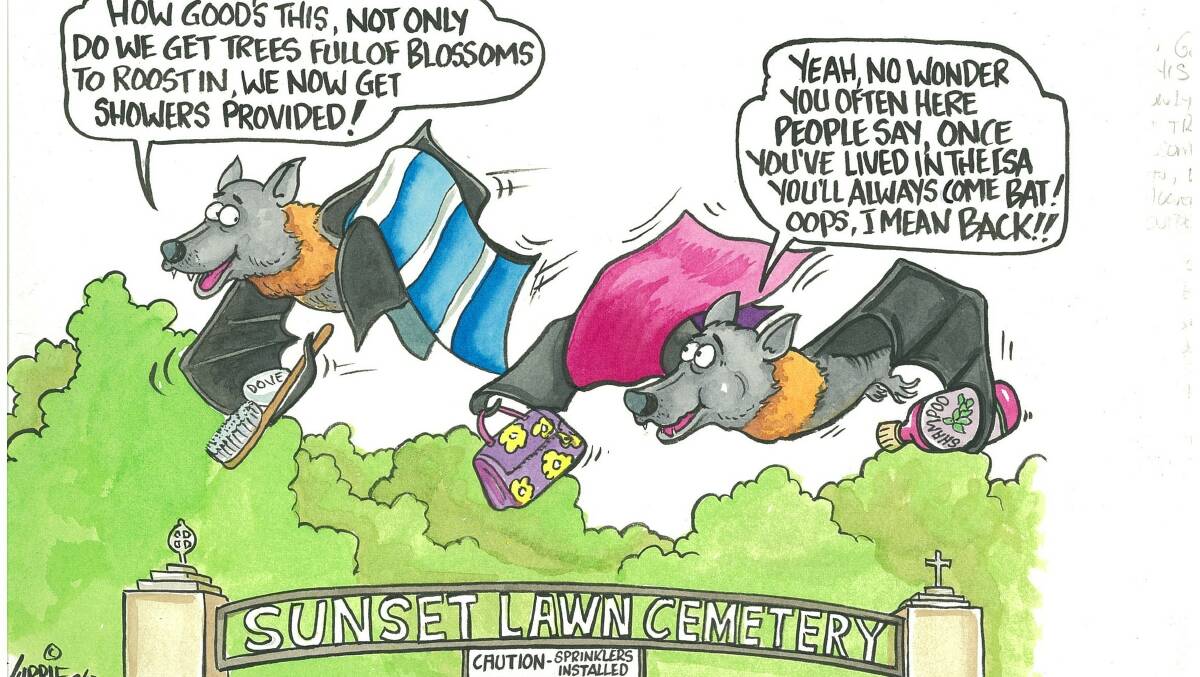 Cartoonist Bret Currie's take on the Mount Isa City Council's plan to use high-pressure sprinklers to remove bats from the cemetery.