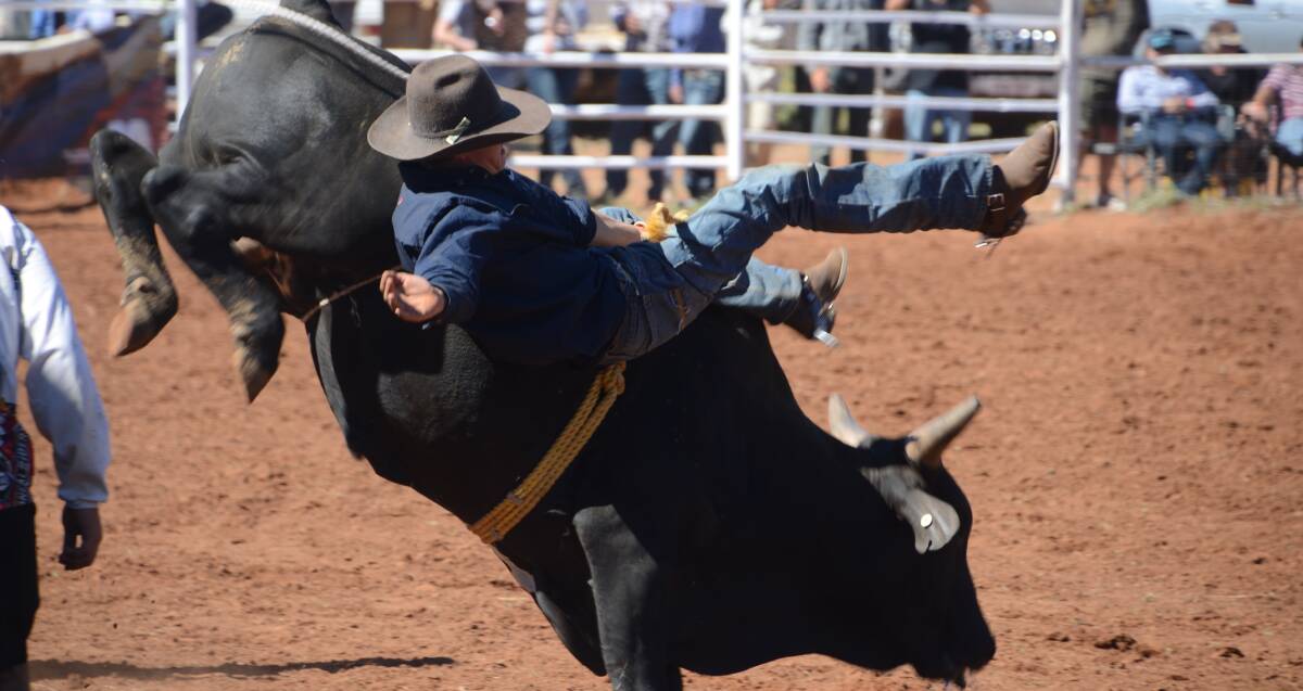 TOUGH GOING: NT Cowboy Jim Hyde finds one of the open bulls too hard to handle at the Quamby Rodeo. Photo: Derek Barry