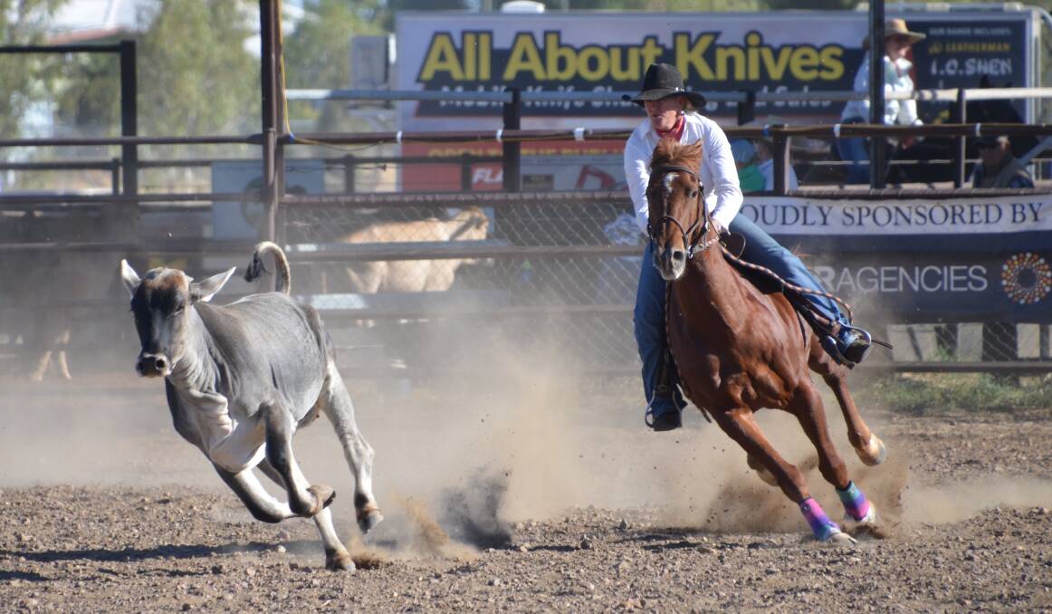 CHASE IS ON: Jan Darcy on Alley Cat take part in Round 1 of the Novice Campdraft at Camooweal. Photo: Derek Barry