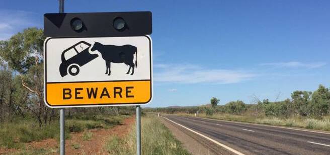 An RACQ report has named the Barkly Highway stretch between Mount Isa and Cloncurry one of the most dangerous in the state. Photo: Derek Barry