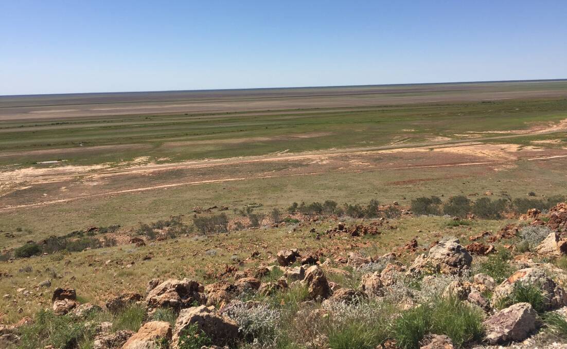 VERDANT: The view towards the Channel Country from Vaughan Johnson Lookout on the Boulia-Bedourie Rd is looking lush and green at the moment. Photo: Derek Barry