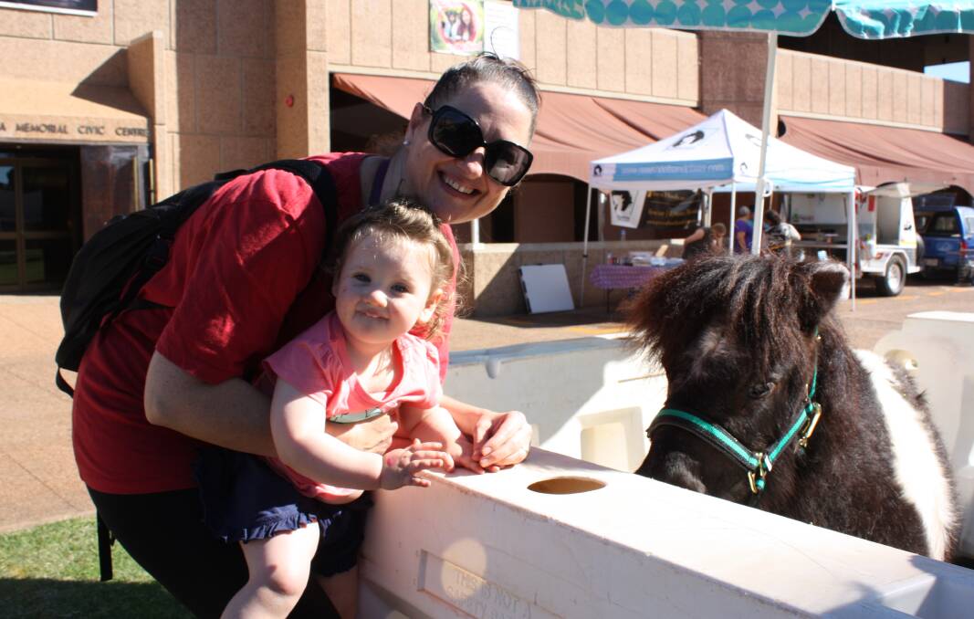 Nicky and Ruby, 18 months, get to meet Pancho the pony.