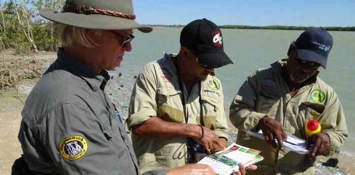 SOLUTIONS: Professor Norm Duke works with Indigenous rangers on the dieback problem. Photo: supplied.