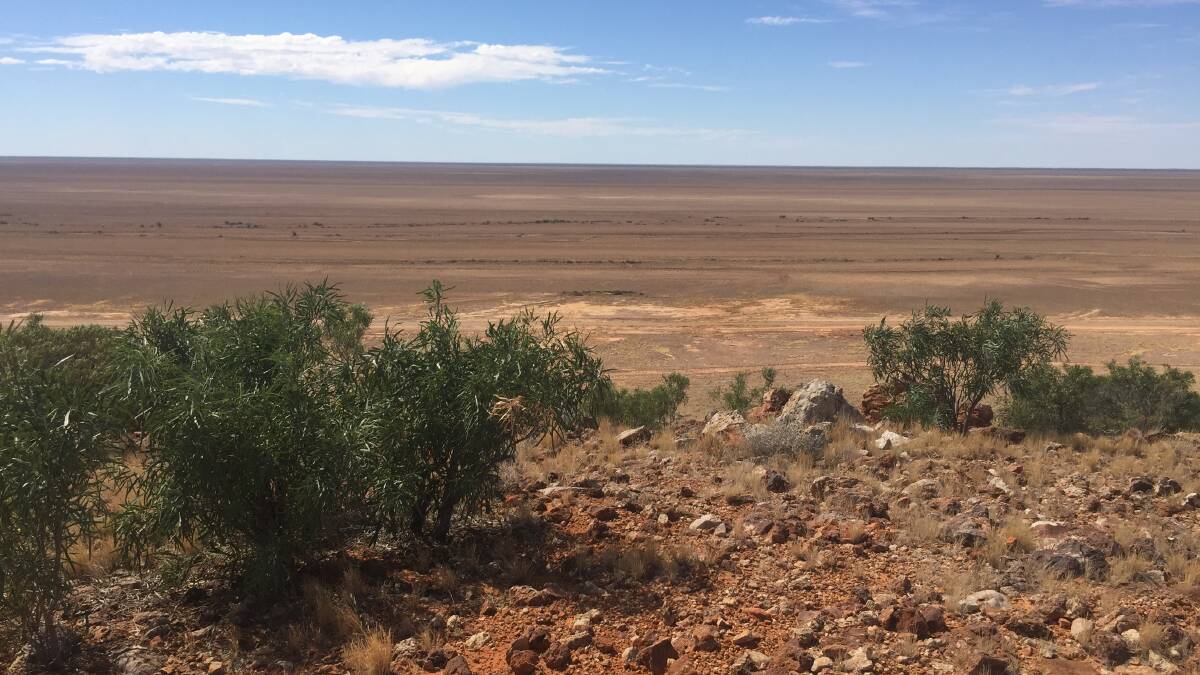 SEE FOREVER: The view east from the Vaughan Johnson Lookout at the border of Boulia and Diamantina shires. Photo: Derek Barry