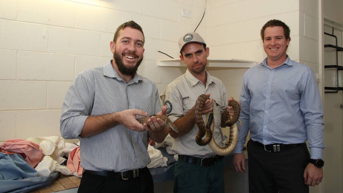 Police and department officials display some of the reptiles seized.