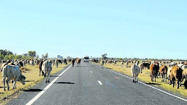 A Queensland Parliamentary Committee will conduct public hearings in Boulia on proposed changes to stock route legislation.