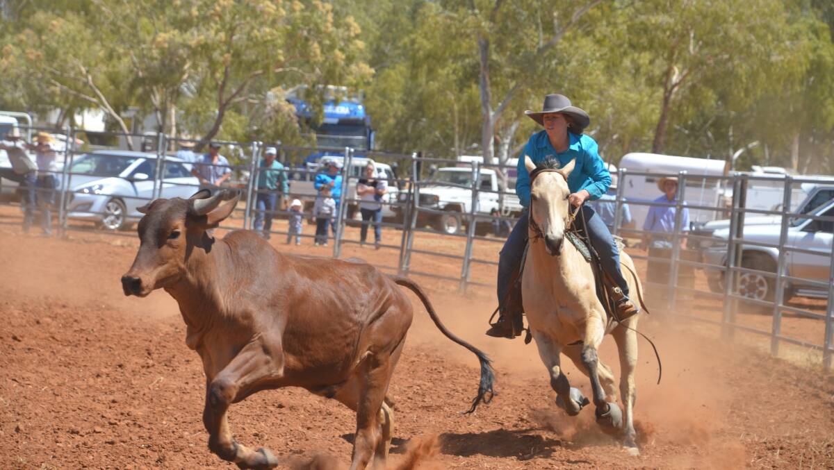 CHASE IS ON: Adrienne Brady in action in the campdraft on Saturday afternoon at Dajarra.