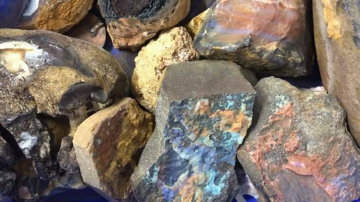 Opals discovered at a Guanaba residence on March 10. Photo: Queensland Police Service