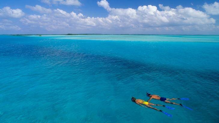 A snorkeller drifts past in azure waters.