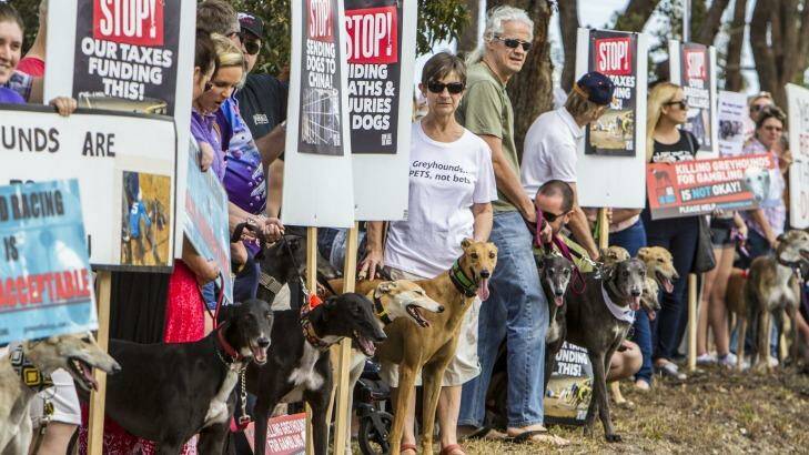 About 200 people gathered in Slacks Creek to protest the development of a greyhound racing track. Photo: Glenn Hunt