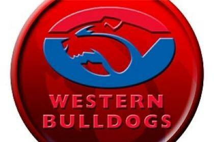 The Western Bulldogs have a new chief executive. Photo: The Age