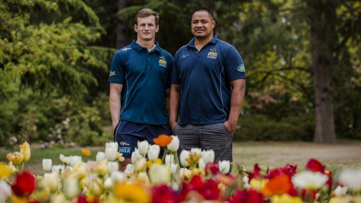 Brumbies James Dargaville and Ita Vaea have played starring roles for the Vikings in the NRC this season. Photo: Jamila Toderas