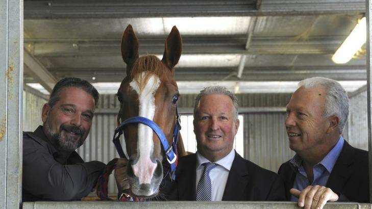 History repeating? Trainer Nick Olive will be hoping Cool In Black can repeat the heroics of Single Gaze, pictured with owners Manny Notaras, Richard Keeley and Philip Kouvelis, at Rosehill. Photo: Graham Tidy